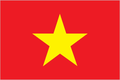 VM-flag